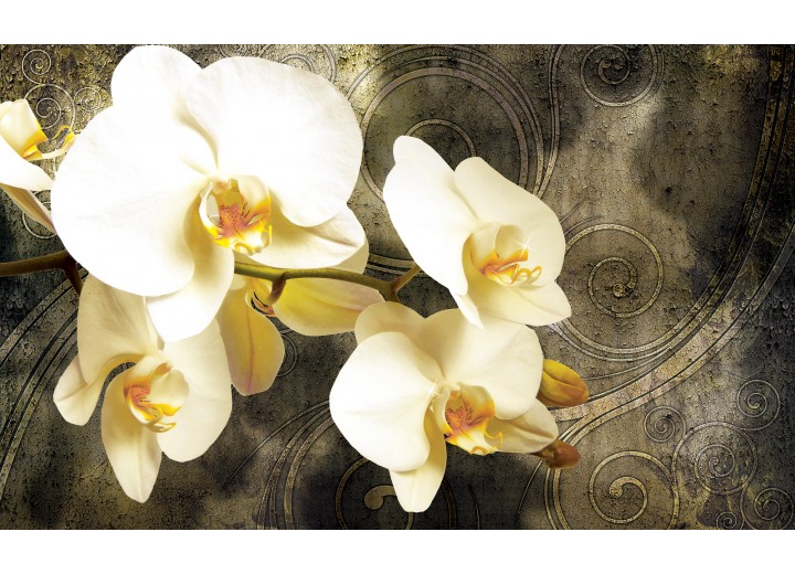 Fotobehang Vlies | Orchidee, Bloemen | Geel | 254x184cm