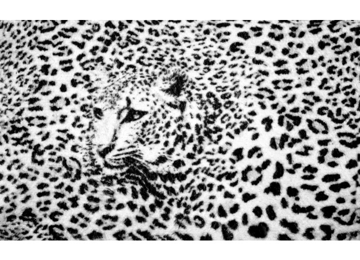 Fotobehang Vlies | Luipaard | Zwart, Wit | 254x184cm