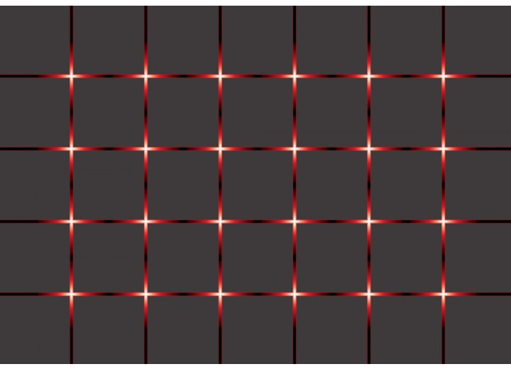 Fotobehang Vlies | Modern | Rood, Grijs | 254x184cm