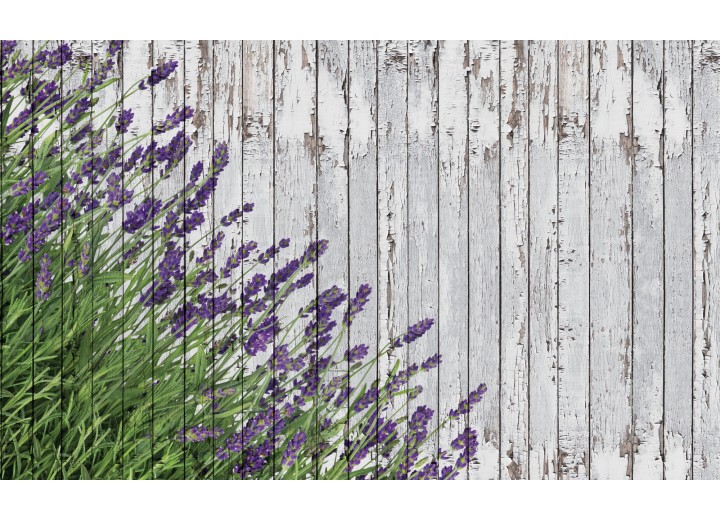 Fotobehang Vlies | Hout, Lavendel | Grijs | 254x184cm