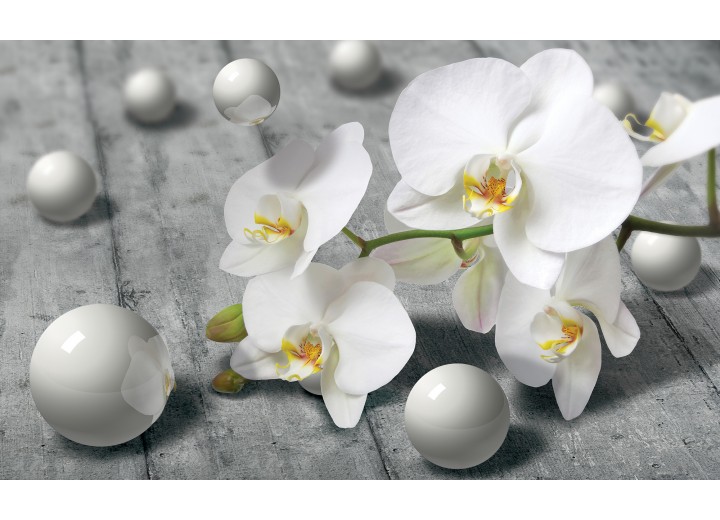 Fotobehang Vlies | Bloem, Orchidee | Grijs | 254x184cm