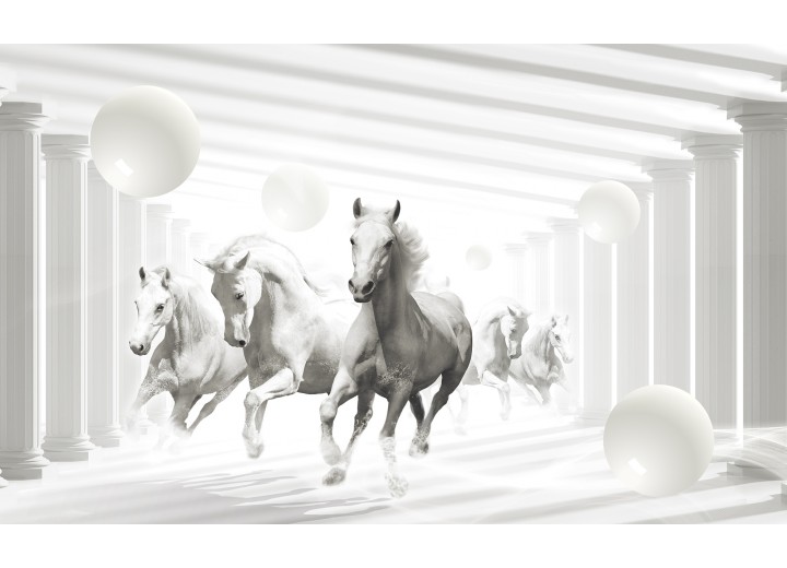 Fotobehang Vlies | Paarden, Modern | Wit | 254x184cm