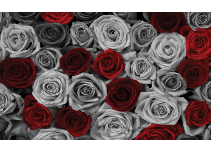 Fotobehang Vlies | Rozen | Grijs, Rood | 254x184cm