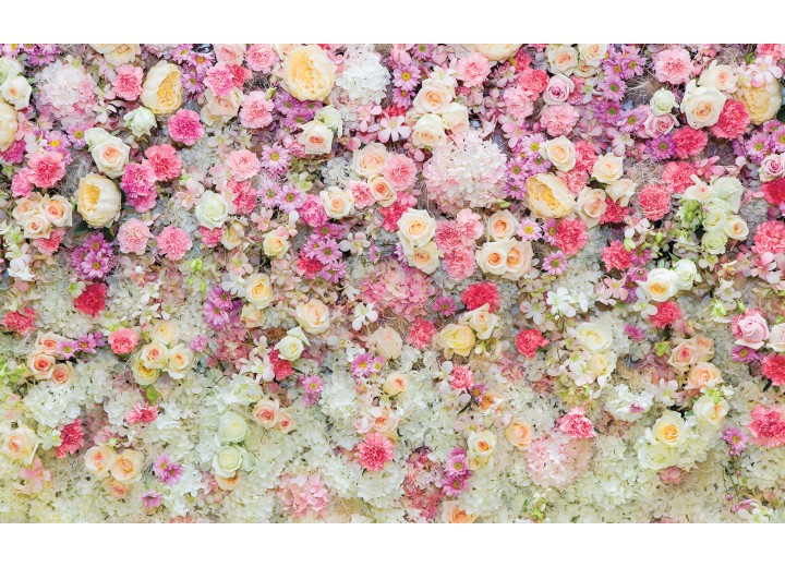 Fotobehang Vlies | Bloemen | Roze, Crème | 254x184cm