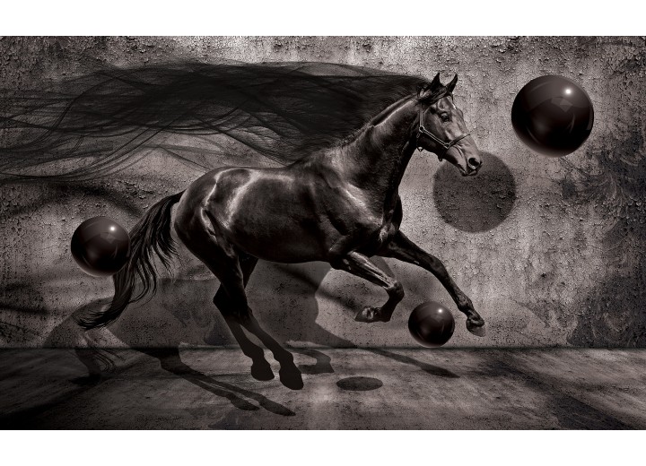Fotobehang Vlies | Paard, Design | Zwart | 254x184cm