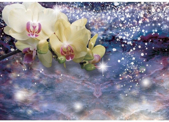 Fotobehang Vlies | Orchideeën, Modern | Blauw | 254x184cm