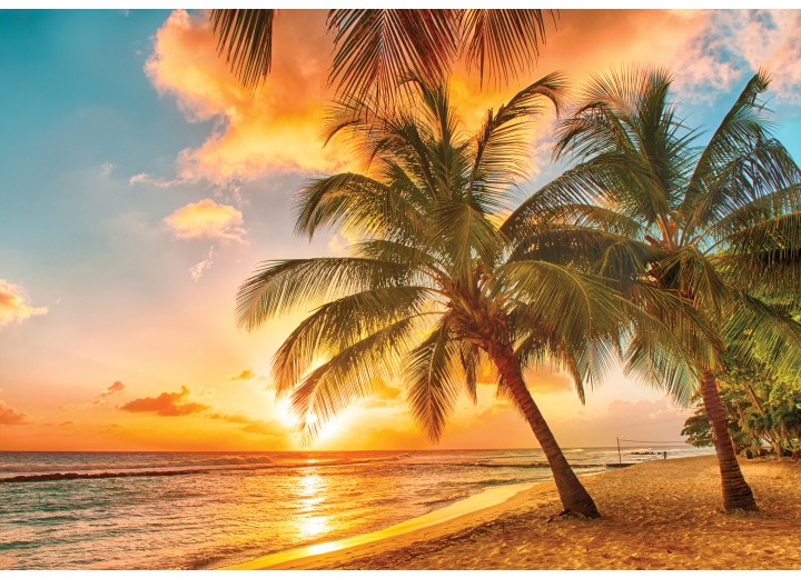 Fotobehang Vlies | Zee, Strand | Goud | 254x184cm