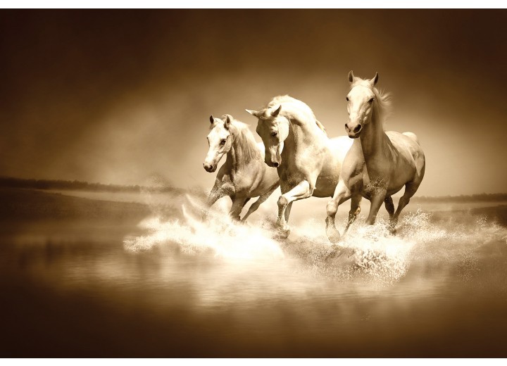 Fotobehang Vlies | Paarden | Sepia | 254x184cm