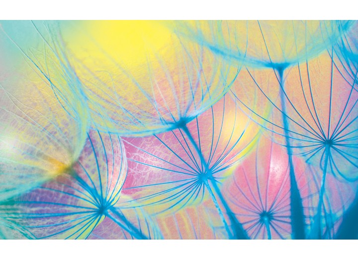 Fotobehang Vlies | Abstract | Geel, Blauw | 254x184cm