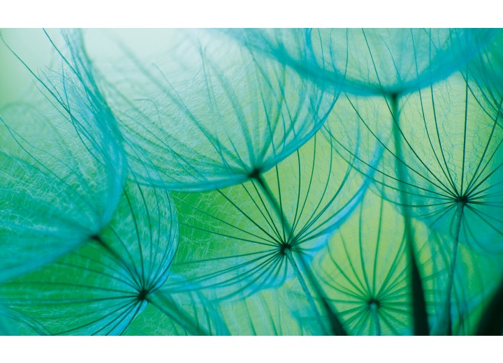 Fotobehang Vlies | Abstract | Groen | 254x184cm