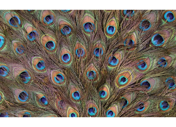 Fotobehang Vlies | Stenen | Bruin | 254x184cm