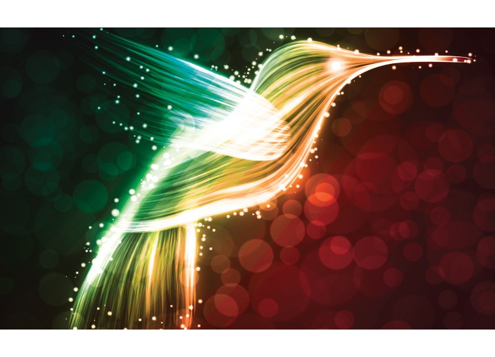 Fotobehang Vlies | Kolibrie | Rood | 254x184cm