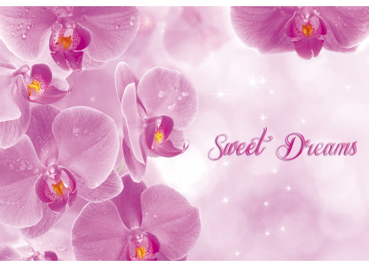 Fotobehang Vlies | Bloemen | Roze | 254x184cm