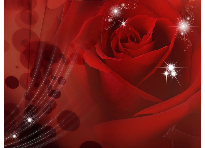 Fotobehang Vlies | Bloemen | Rood | 254x184cm