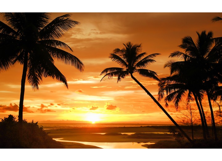 Fotobehang Vlies | Tropisch | Oranje, Zwart | 254x184cm