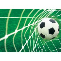 Fotobehang Voetbal | Groen, Wit | 152,5x104cm