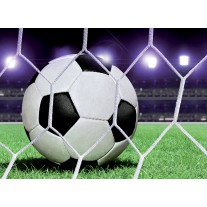 Fotobehang Voetbal | Groen, Wit | 152,5x104cm