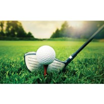 Fotobehang Papier Golf | Groen, Wit | 368x254cm
