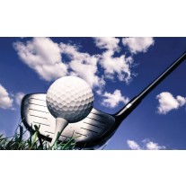 Fotobehang Papier Golf | Blauw, Wit | 254x184cm