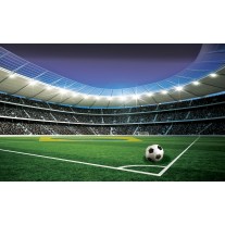 Fotobehang Voetbalstadion | Groen | 152,5x104cm