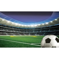 Fotobehang Voetbalstadion | Groen | 152,5x104cm