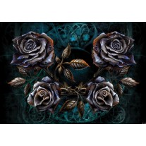 Fotobehang Alchemy Gothic | Zwart | 152,5x104cm