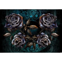 Fotobehang Papier Alchemy Gothic | Zwart | 254x184cm