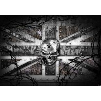 Fotobehang Alchemy Gothic | Grijs | 152,5x104cm