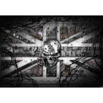 Fotobehang Papier Alchemy Gothic | Grijs | 368x254cm