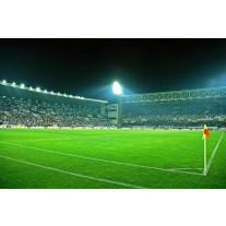 Fotobehang Voetbalstadion | Groen | 152,5x104cm