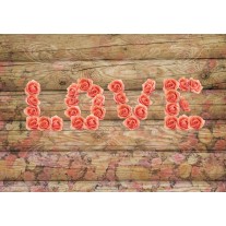 Fotobehang Hout, Rozen | Roze | 208x146cm