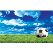 Fotobehang Voetbalveld | Groen, Blauw | 152,5x104cm