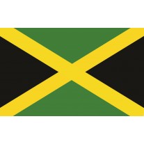 Fotobehang Vlag | Groen, Zwart | 152,5x104cm