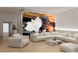 Fotobehang Vlies | Bloemen | Bruin, Wit | 254x184cm