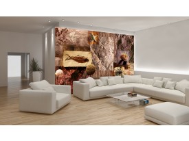 Fotobehang Vlies | Landelijk | Bruin | 254x184cm