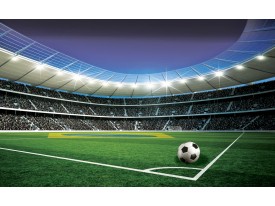 Fotobehang Voetbalstadion | Groen | 208x146cm