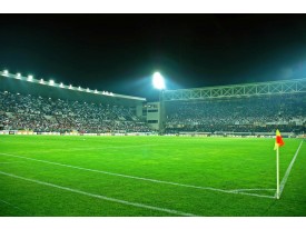 Fotobehang Papier Voetbalstadion | Groen | 368x254cm