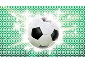 Fotobehang Papier Voetbal | Groen, Wit | 368x254cm