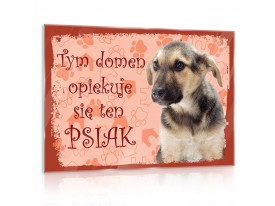 obrazy_szklaneGT11433G1.jpg