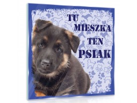 obrazy_szklaneGT11436G7.jpg