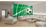 Fotobehang Voetbal | Groen, Wit | 104x70,5cm