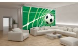 Fotobehang Voetbal | Groen, Wit | 152,5x104cm