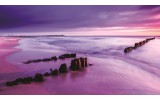 Fotobehang Vlies | Strand, Zee | Paars | 254x184cm