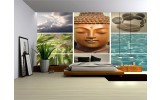 Fotobehang Vlies | Boeddha, Natuur | Grijs | 254x184cm