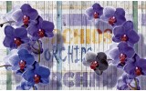 Fotobehang Vlies | Landelijk, Orchidee | Paars | 254x184cm