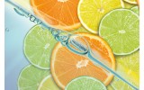 Fotobehang Vlies | Fruit, Keuken | Oranje, Groen | 254x184cm