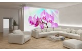 Fotobehang Vlies | Bloemen, Orchidee | Roze, Paars | 254x184cm