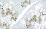 Fotobehang Vlies | Orchidee, Bloemen | Wit | 254x184cm