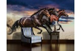 Fotobehang Vlies | Paarden | Bruin | 254x184cm