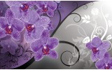 Fotobehang Vlies | Bloemen, Orchidee | Paars, Grijs | 254x184cm